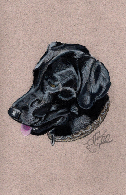 Custom Artwork by Thom Shepherd