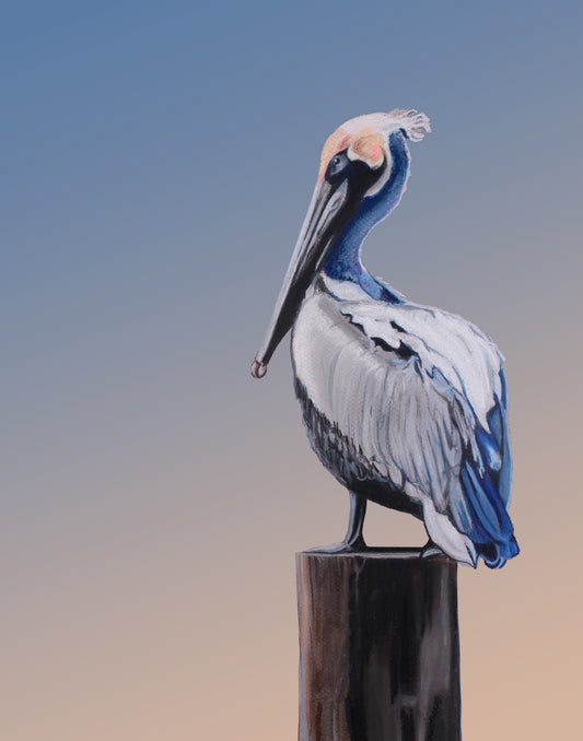 The Pelican Canvas Print