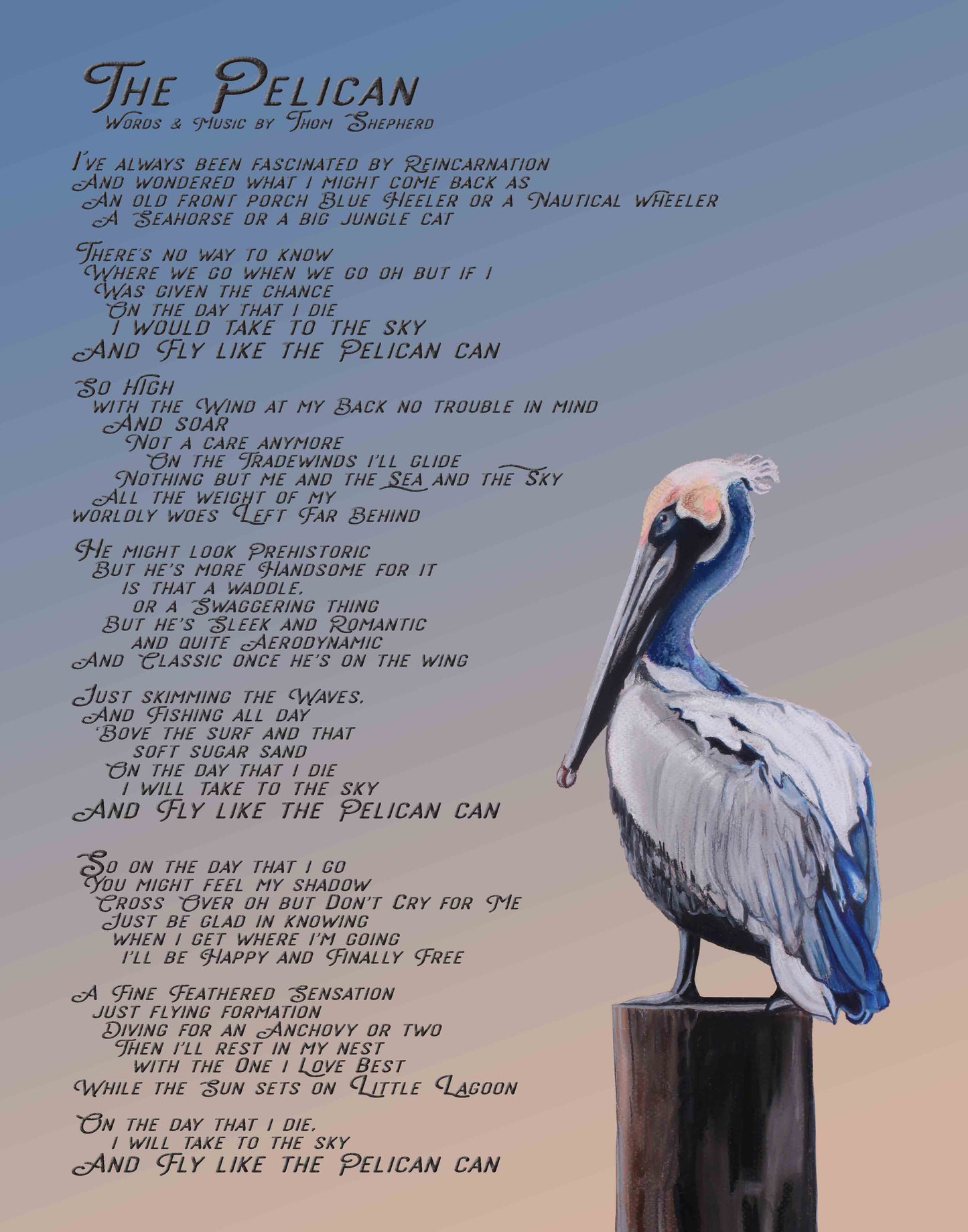 The Pelican Canvas Print