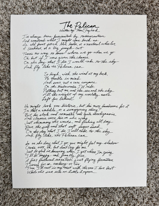 Hand Written Lyric - The Pelican