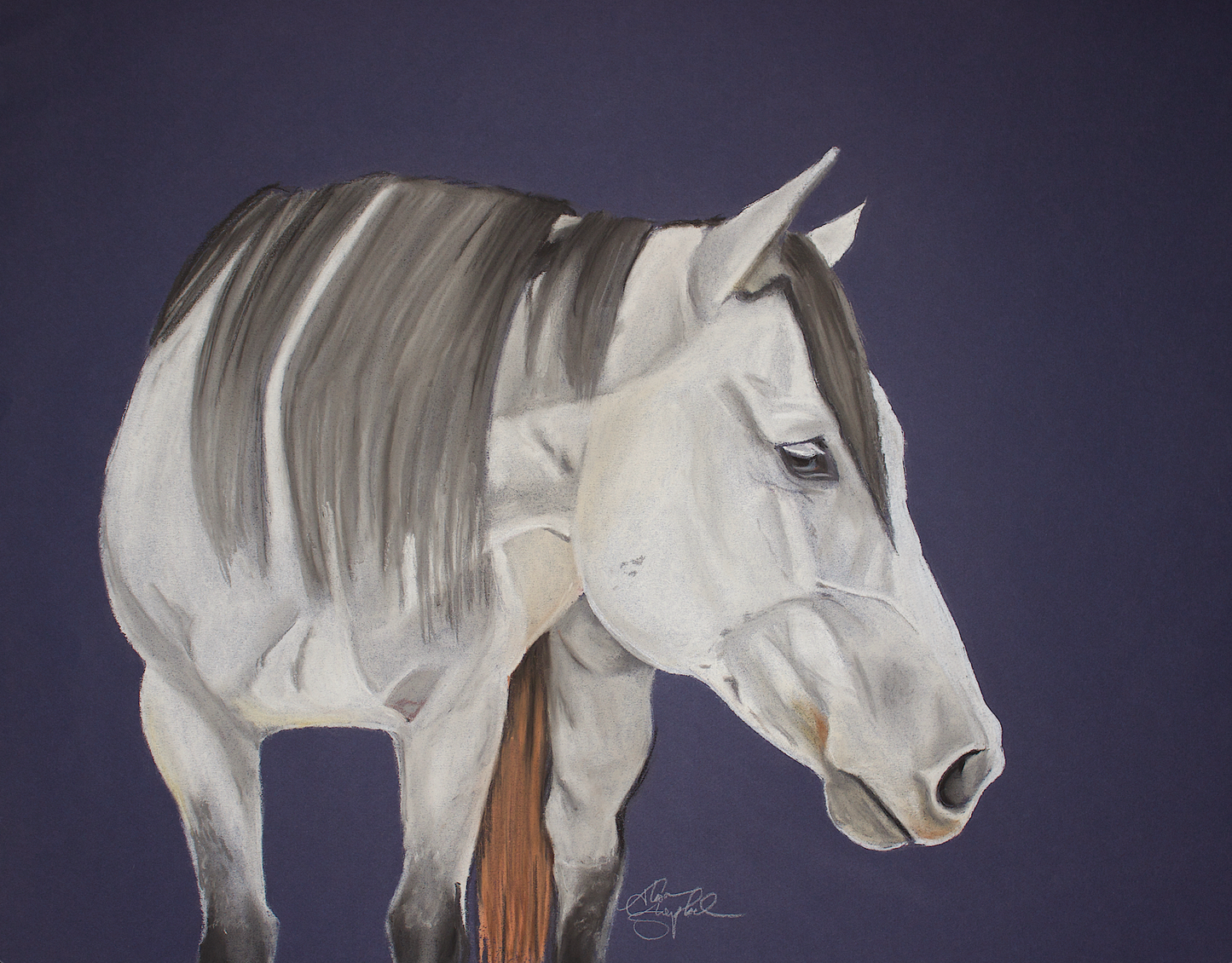 Custom Artwork by Thom Shepherd